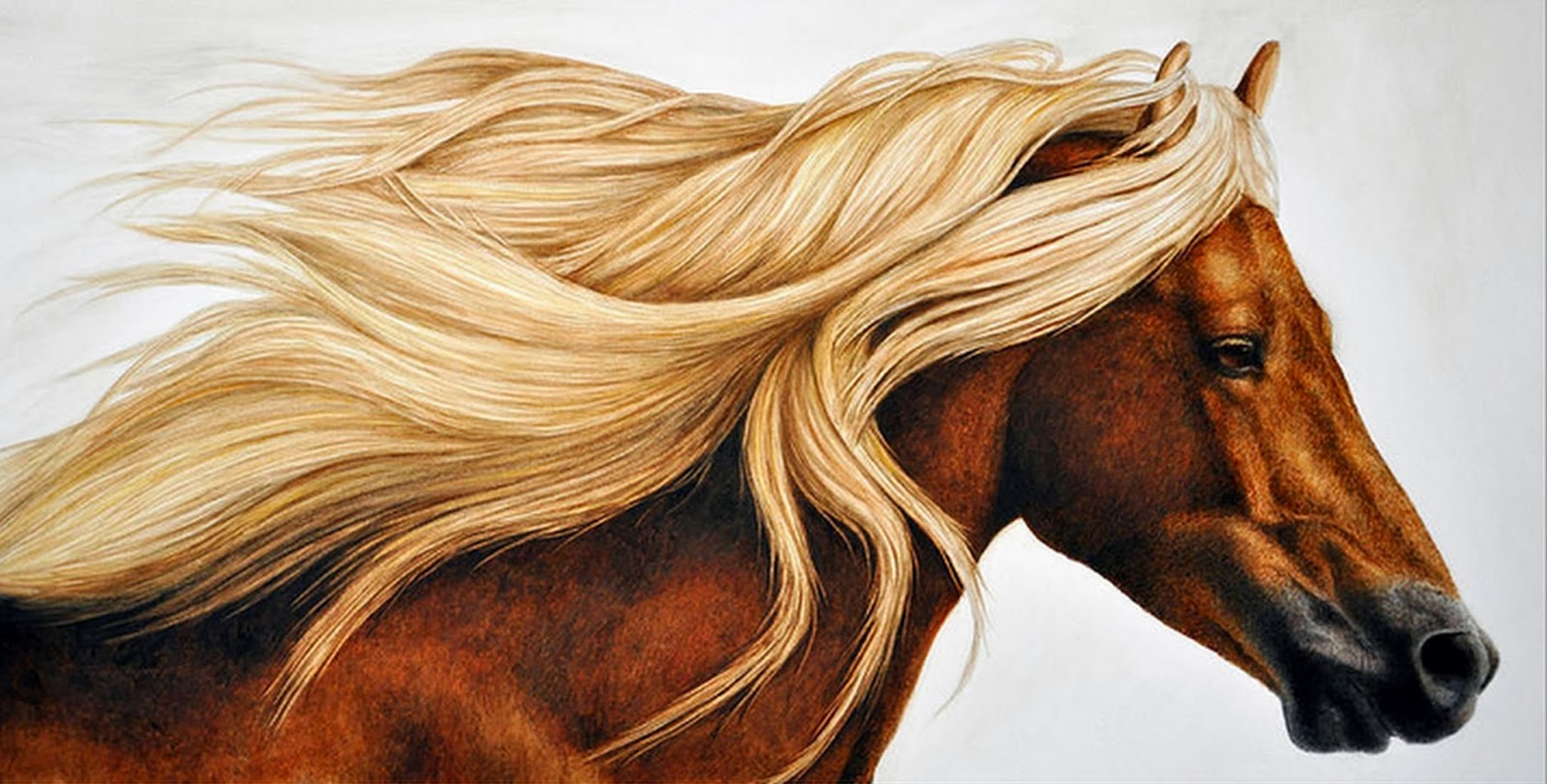 3d blonde Horse Art